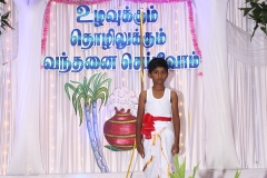 Pongal-4